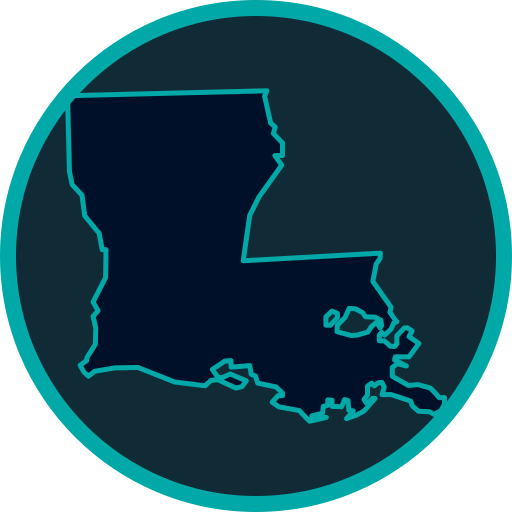 Louisiana map avatar