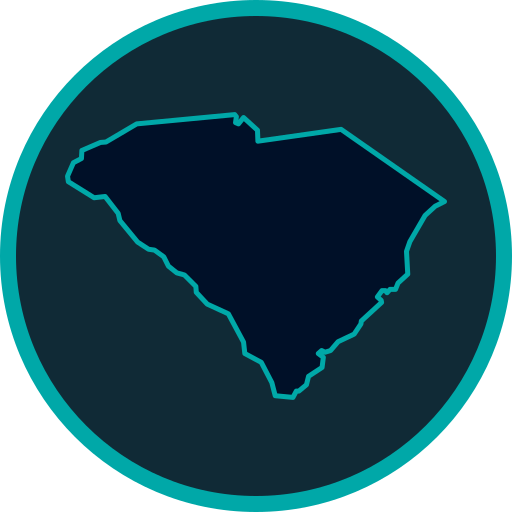 South Carolina map avatar