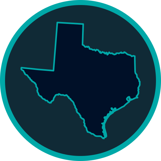 Texas map avatar